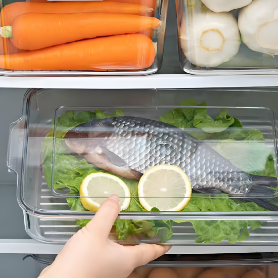 Plastic Storage Box with Lid